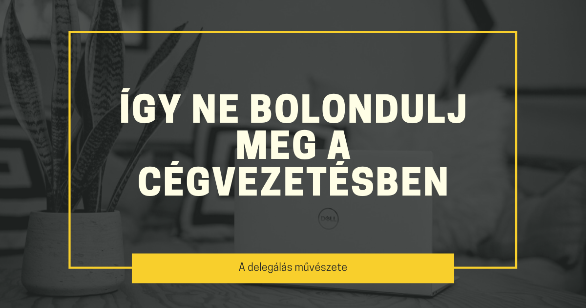 Így ne bolondulj meg a cégvezetésben: a delegálás művészete